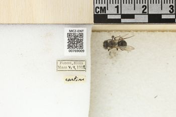 Media type: image;   Entomology 769009 Aspect: Labels